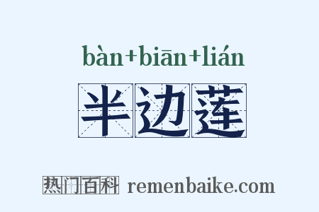 半边莲是什么意思的图片